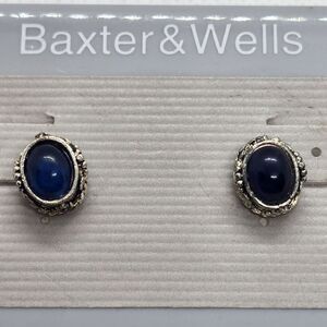 NWT Baxter & Wells Silver & Blue Stud Earrings